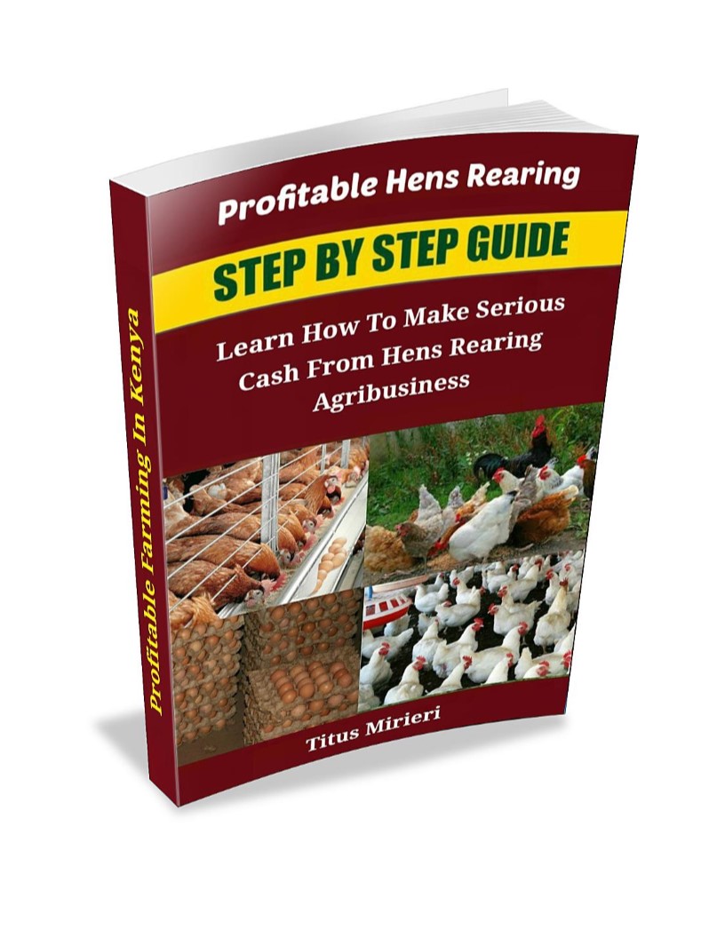 Poultry Farming Guide. Hen Rearing Step by Step