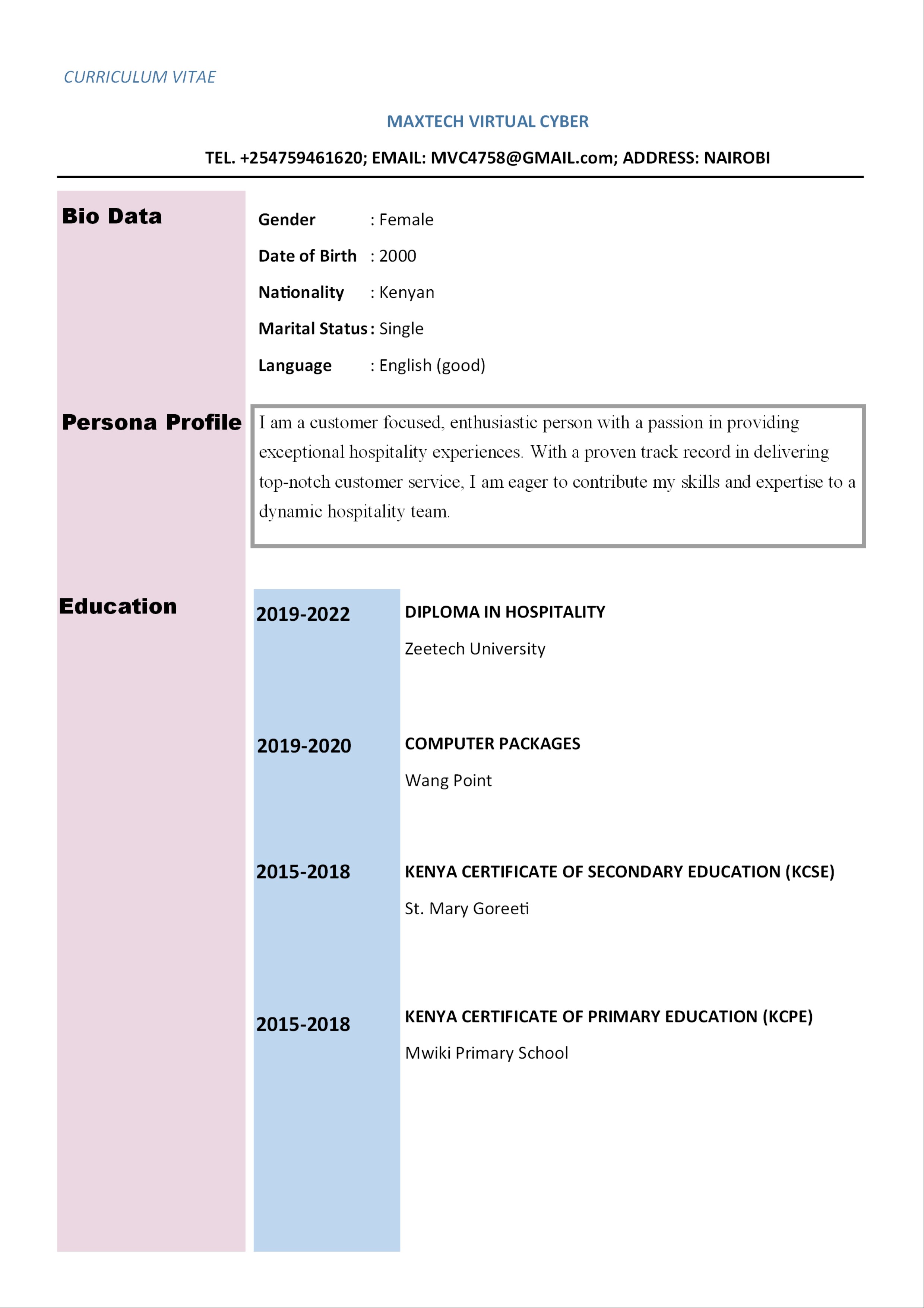 PROFESSIONAL CV TEMPLATE 003